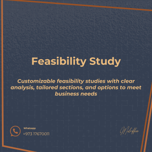 Feasibility Study