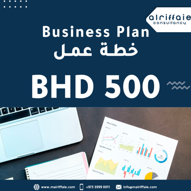 2. Business Plan