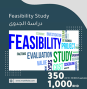 Feasibility-Study-300x300