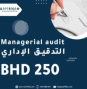 Managerial-audit-300x300